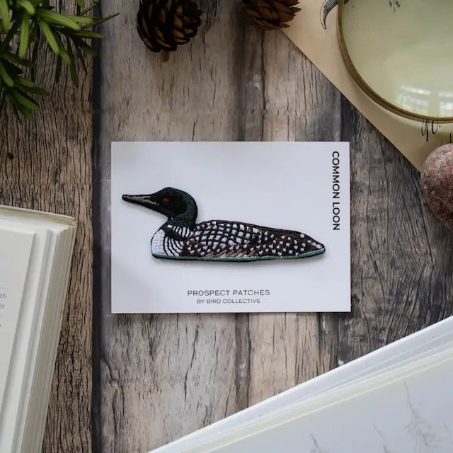 Common Loon