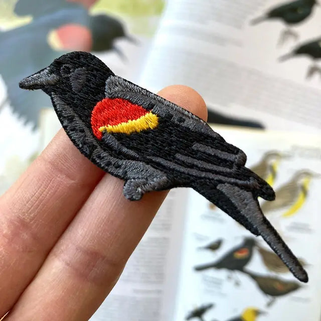 Red-Winged Blackbird