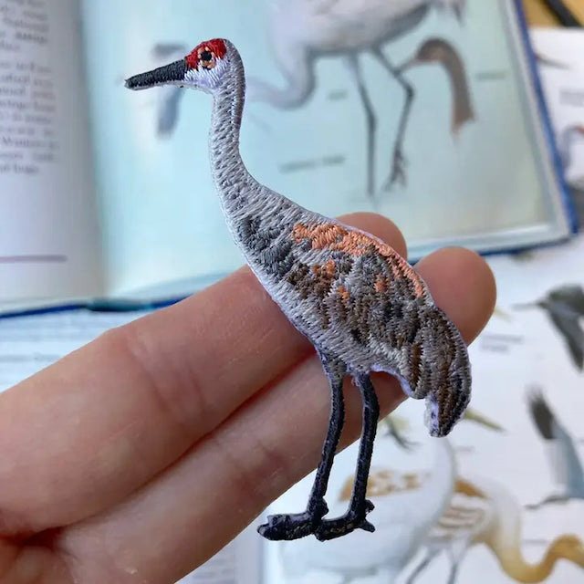 Sandhill Crane