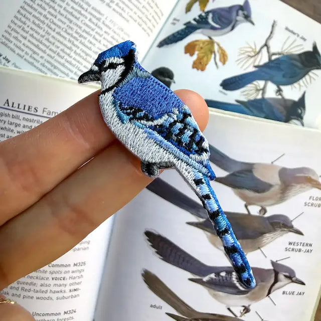 Blue Jay