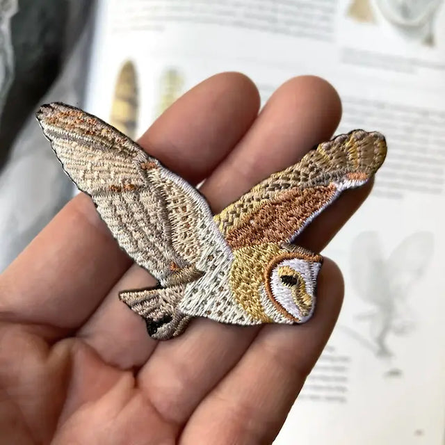 Barn Owl