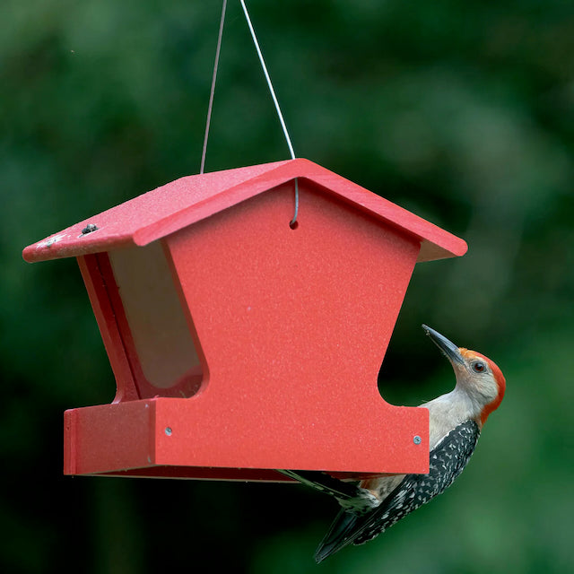 Bird Feeder - Hopper - Recycled Fly-Thru with Mesh Screen