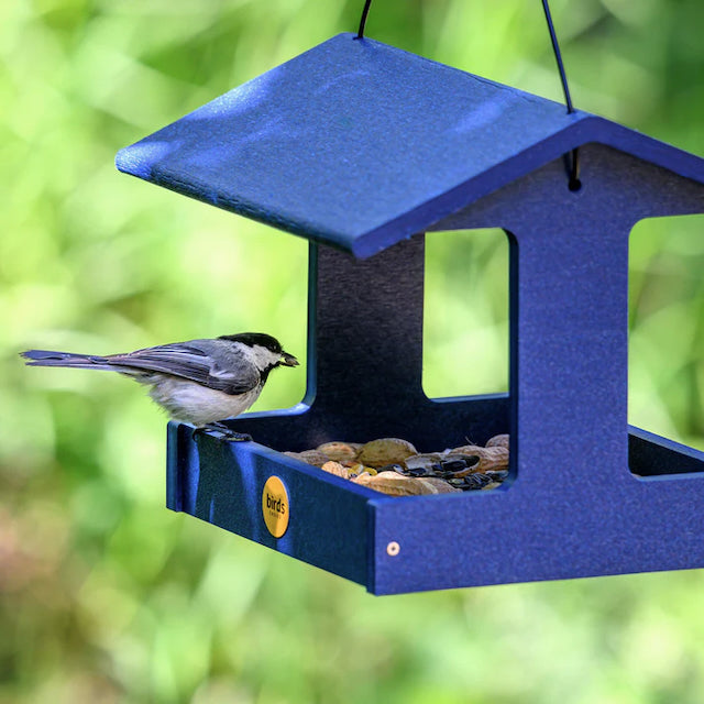 Bird Feeder - Hopper - Recycled Fly-Thru with Mesh Screen