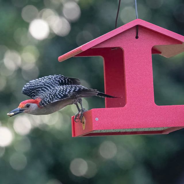 Bird Feeder - Hopper - Recycled Fly-Thru with Mesh Screen