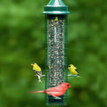 Bird Feeder - Squirrel Buster - Classic