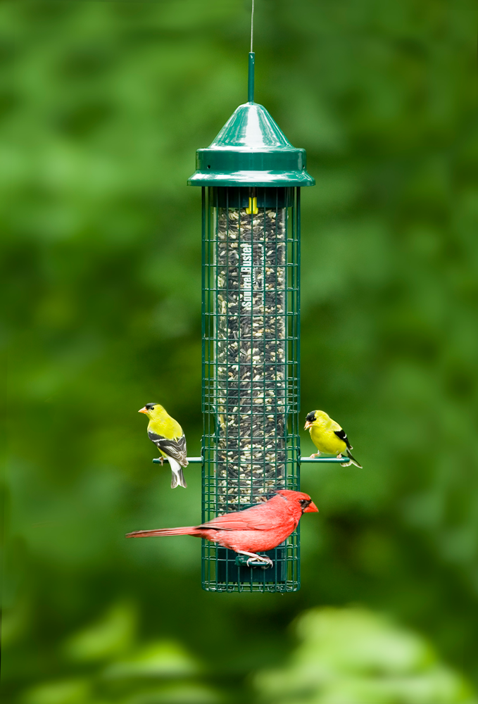 Bird Feeder - Squirrel Buster - Classic