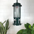 Bird Feeder - Squirrel Buster - Standard