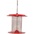 Bird Feeder - Tube - Sunflower Seed Feeder - Color Pop
