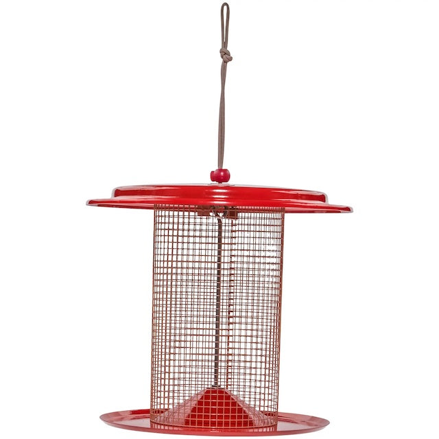 Bird Feeder - Tube - Sunflower Seed Feeder - Color Pop