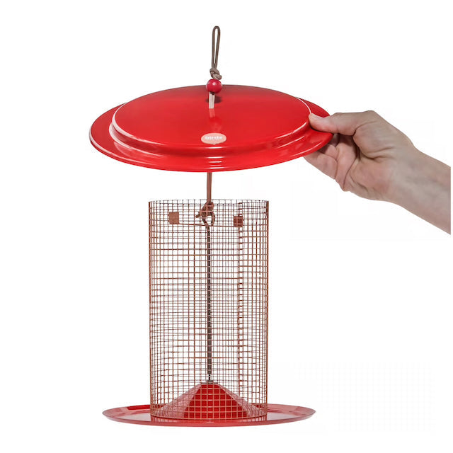Bird Feeder - Tube - Sunflower Seed Feeder - Color Pop