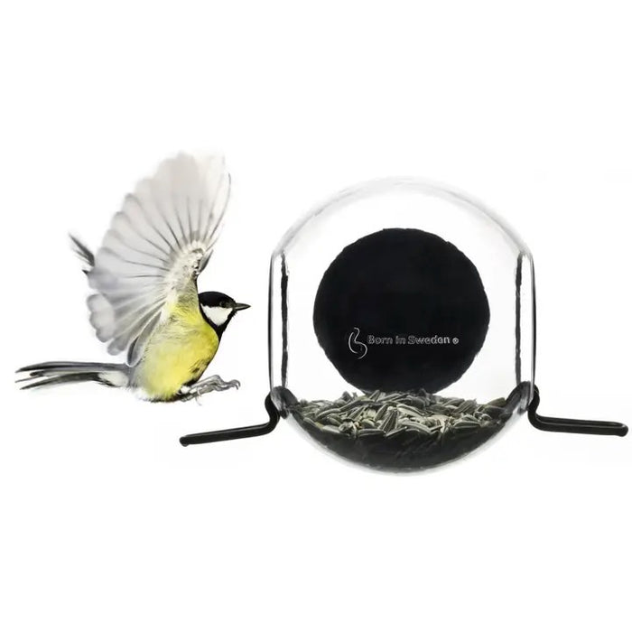 Bird Feeder - Window Mount Globe with 2 Perches
