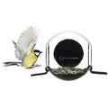 Bird Feeder - Window Mount Globe with 2 Perches