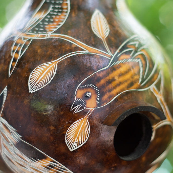 Birdhouse - Gourds - Birds of North America