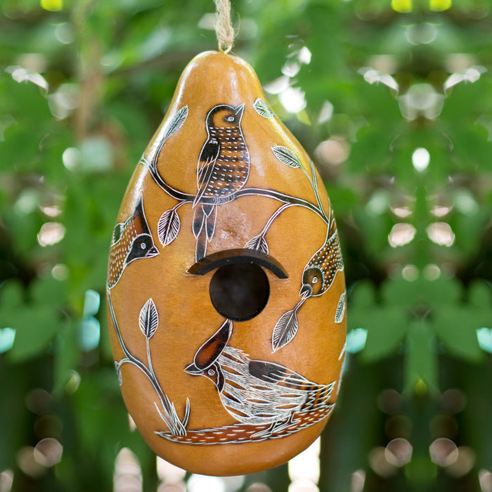 Birdhouse - Gourds - Birds of North America