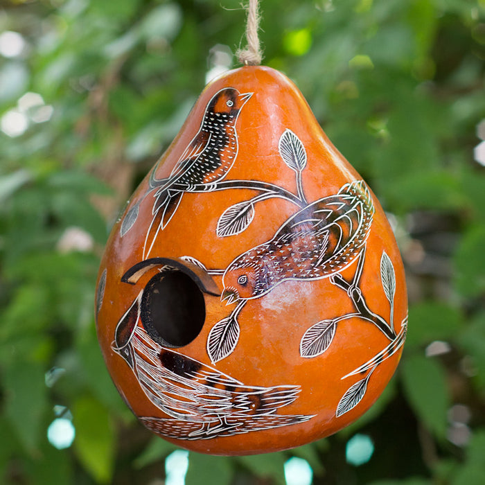 Birdhouse - Gourds - Birds of North America