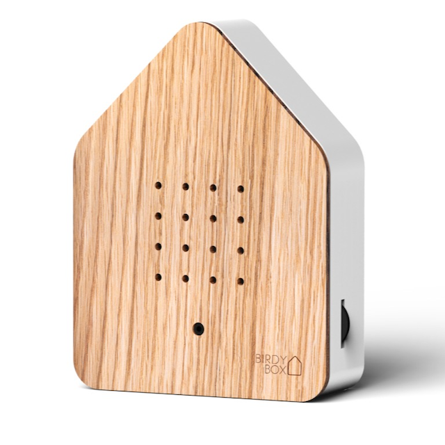 Birdybox - Birdsong Soundscape Machine