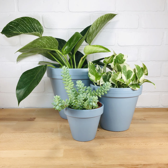 Ceramo Glazed Standard Pot - Ice Blue