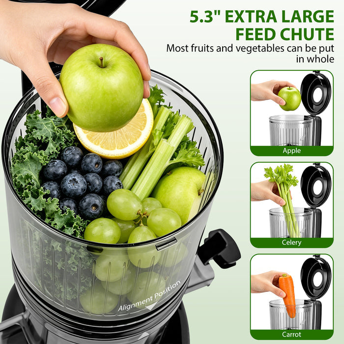 Cold Press Juicer Slow Masticating for Orange Fruits Vegetables, 5.3 inch feed chute 802S