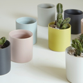 Cylinder Cache Pot - Asst Colors