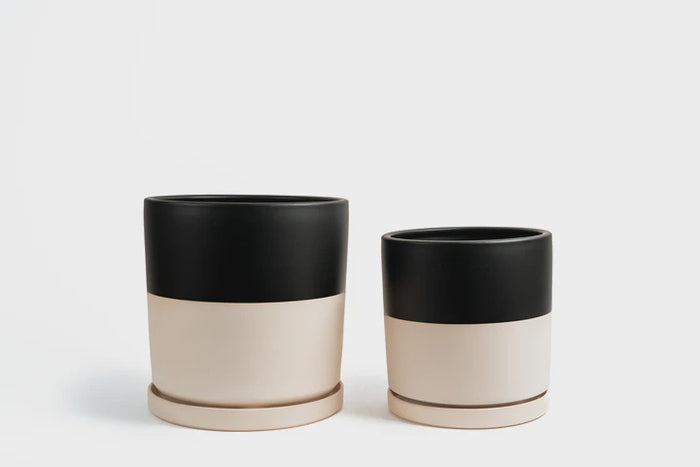 Cylinder Pot w Saucer - Top Half Black