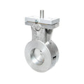 Econex BFV100.B Butterfly Valve - Free Shaft DN100