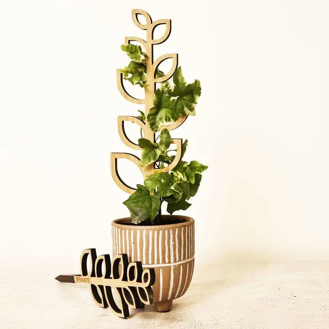 Floratrel - Indoor Houseplant Trellis - The Sapling