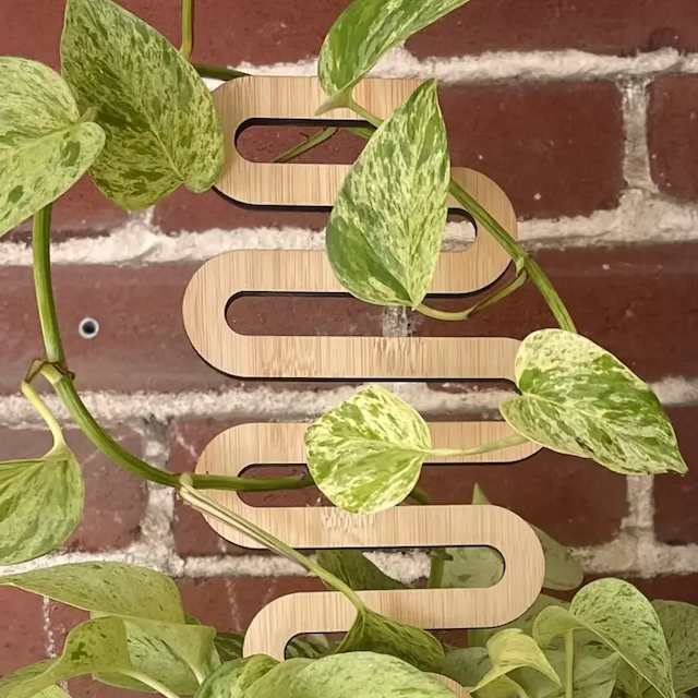 Floratrel - Indoor Houseplant Trellis - The Wayfinder