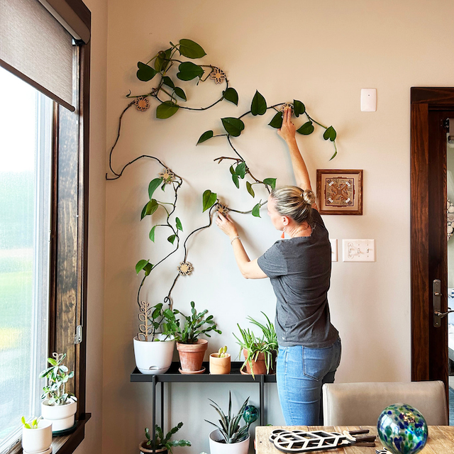 Floratrel - Indoor Houseplant Wall Trellises