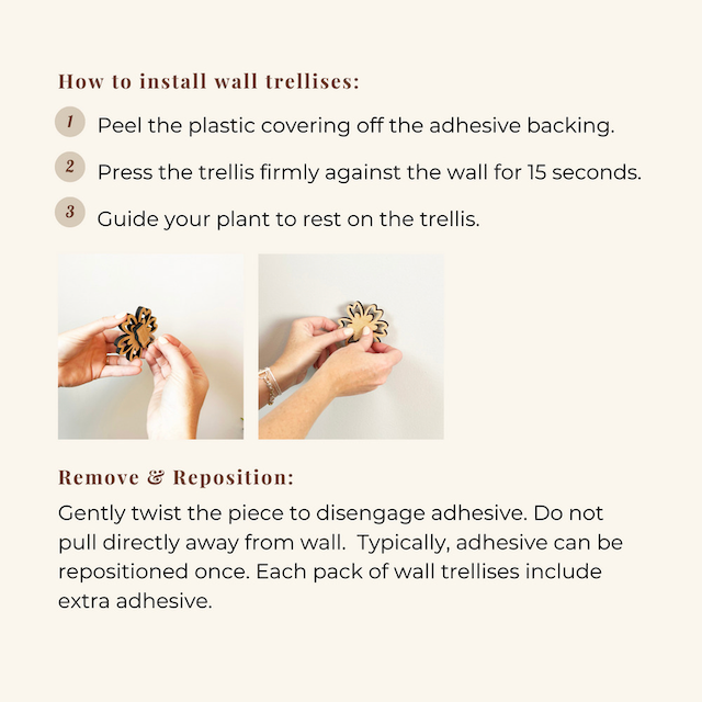 Floratrel - Indoor Houseplant Wall Trellises