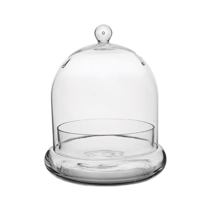 Glass Cloches