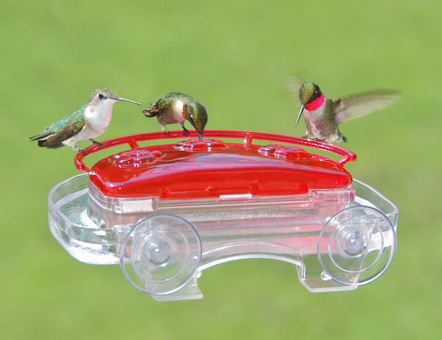 Hummingbird Feeder - Aspects Jewelbox for Windows - 8oz