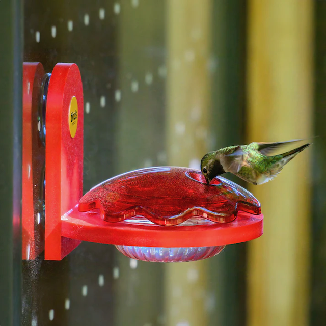 Hummingbird Feeder - Window Mount in Recycled Red Plastic