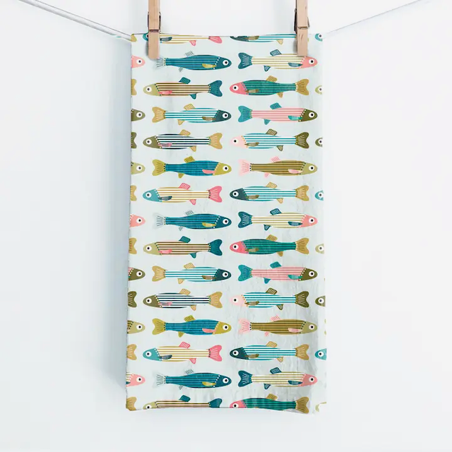 Minnows