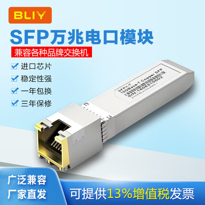10G SFP+ (10 Gigabit)