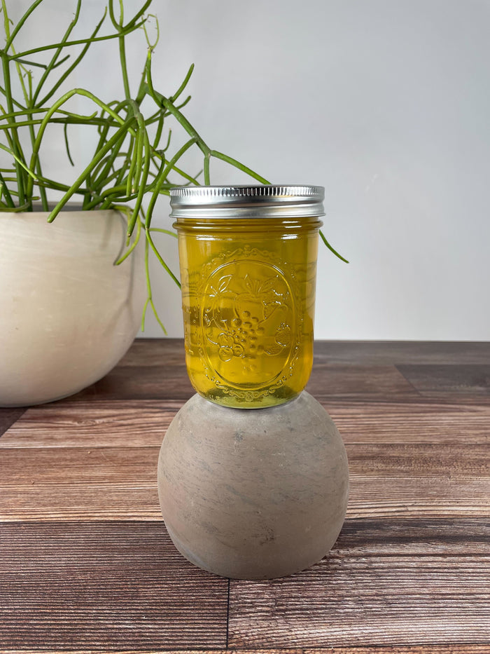 Pine Meadow Honey 12oz Jar CONSIGNMENT