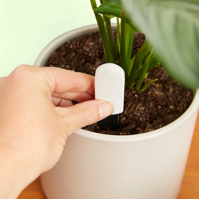 Soil Moisture Meter