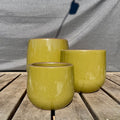 Tagas Planter - Green