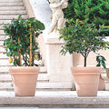 Terracotta Pot Doppio Bordo