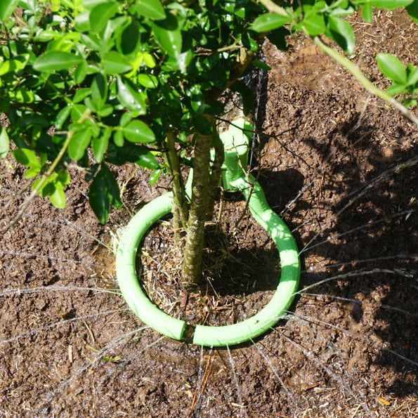 Tree Ring Sprinkler - 11in - Adjustable Valve