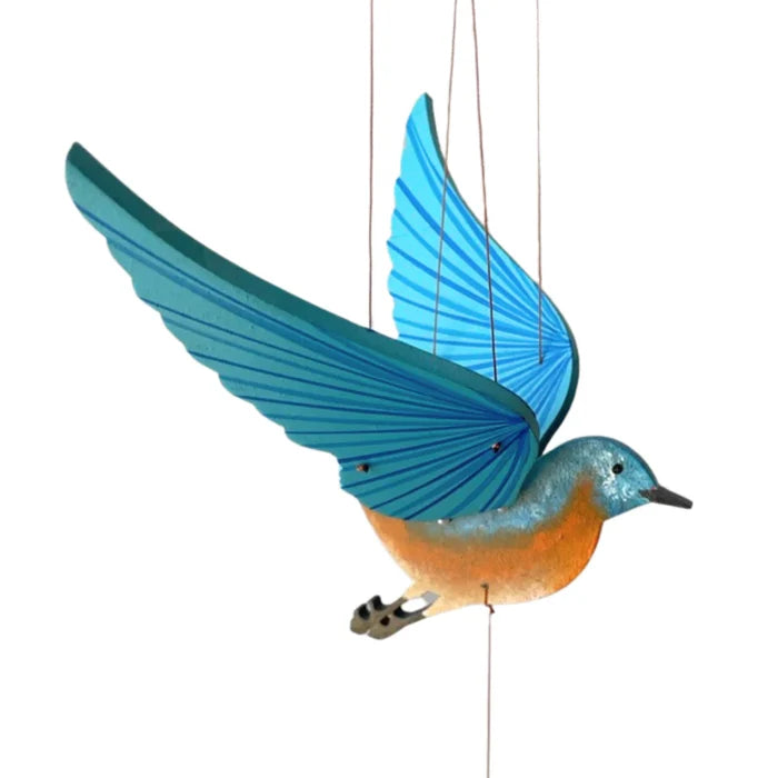 Eastern Bluebird (10in Wingspan)