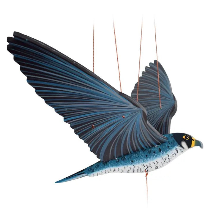 Peregrine Falcon (27in Wingspan)
