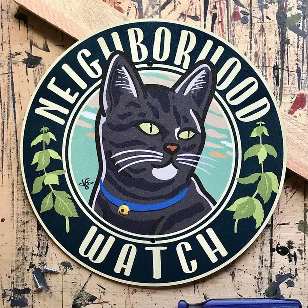 Neighborhood Watch Black Tabby
