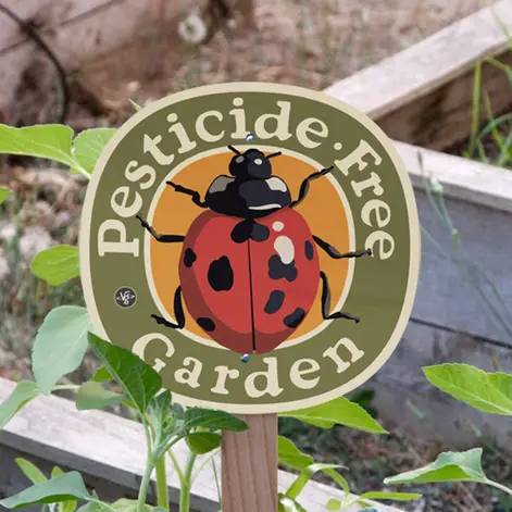 Pesticide Free (Ladybug)