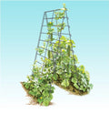 Vine Spine Trellis Panel - 20x66 with 9x6 Openings