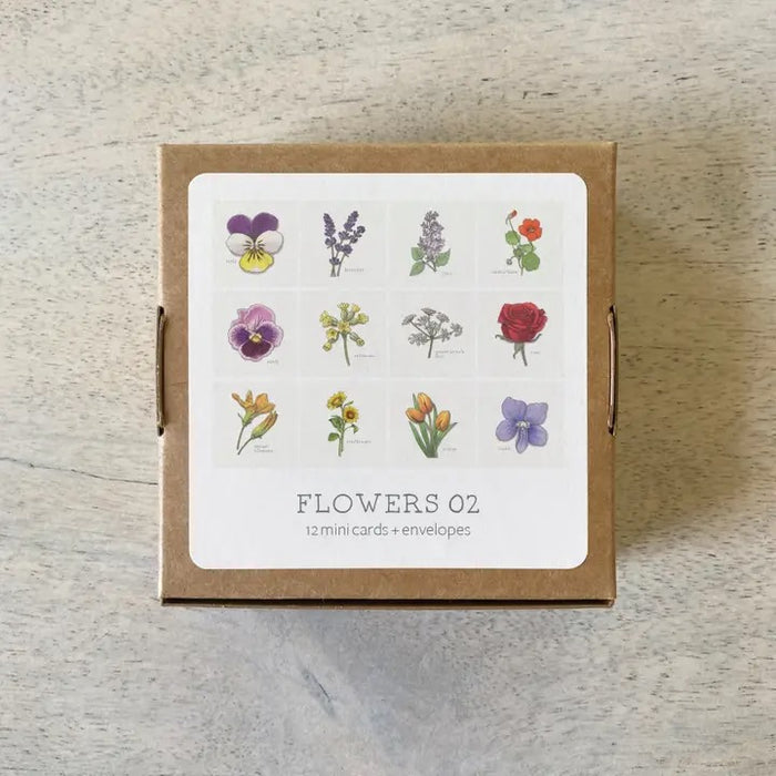 Yeesan Loh Boxed Mini Greeting Cards - 12-Packs