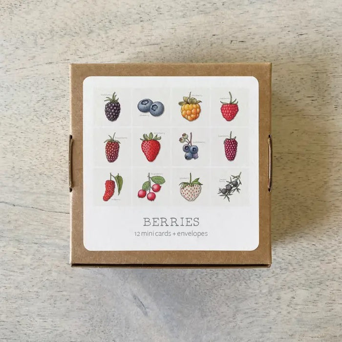 Yeesan Loh Boxed Mini Greeting Cards - 12-Packs