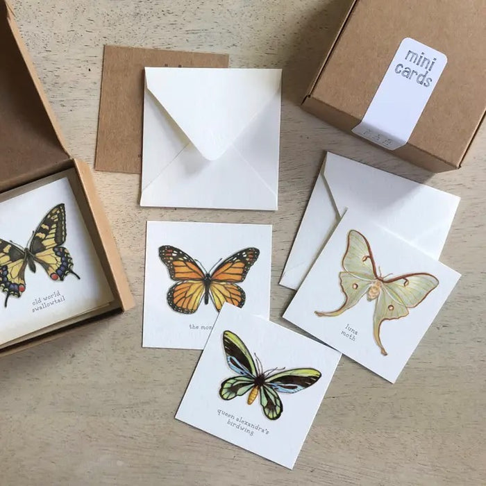 Yeesan Loh Boxed Mini Greeting Cards - 12-Packs
