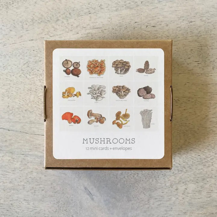 Yeesan Loh Boxed Mini Greeting Cards - 12-Packs