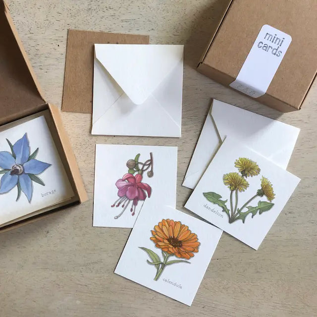 Flowers (v01)